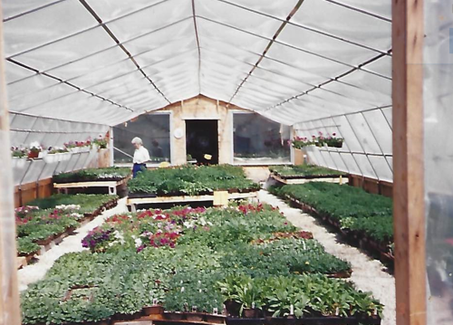old-greenhouse